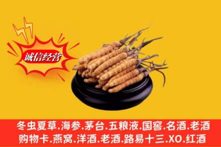 济南钢城区名酒回收冬虫夏草.jpg